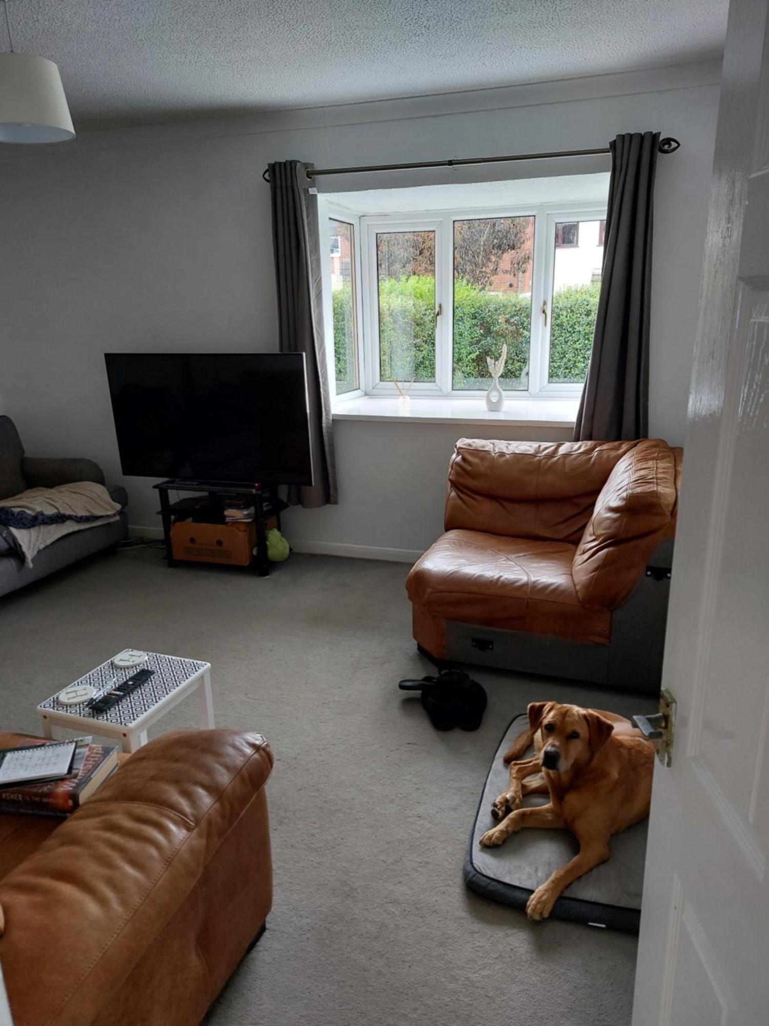 Bude Homestay Stratton  Extérieur photo